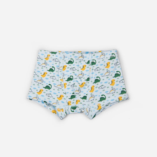 Organic Cotton Boys Boxer Brief - Dinosaurs