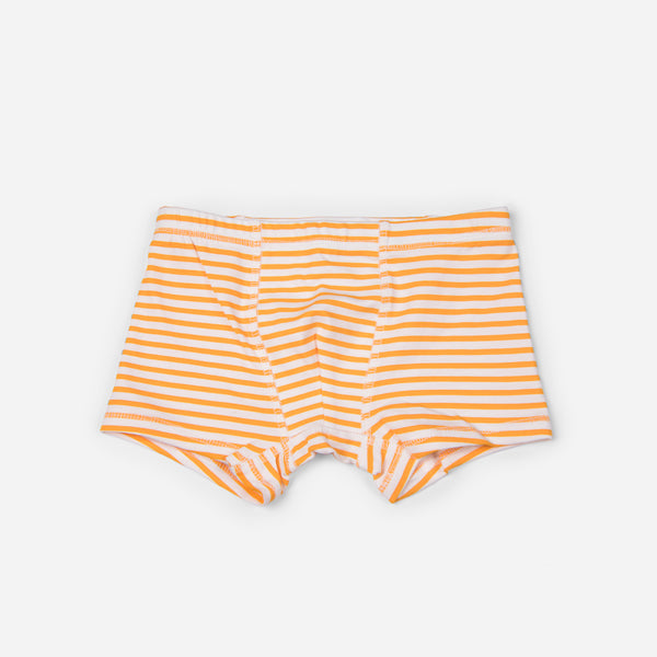 Organic Cotton Boys Boxer Brief - Stripes