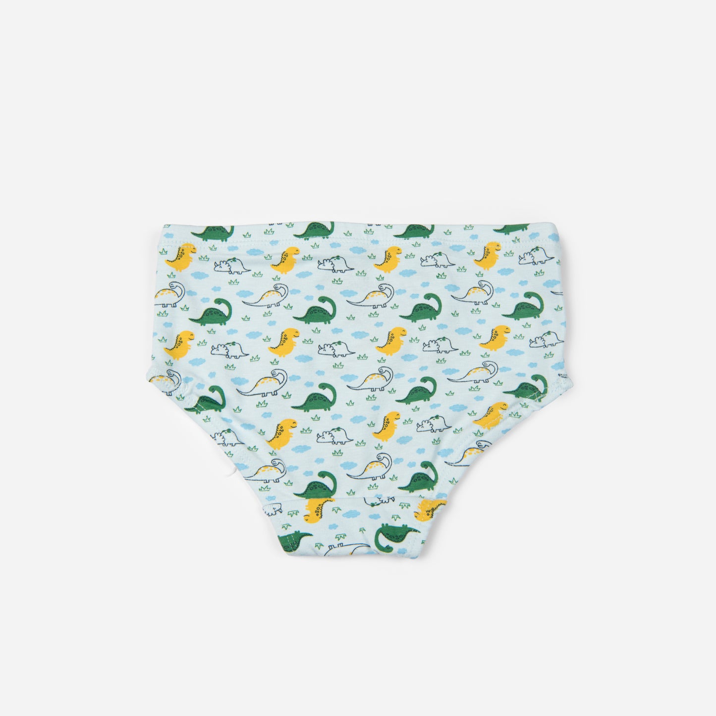 Organic Cotton Boys Brief - Dinosaurs