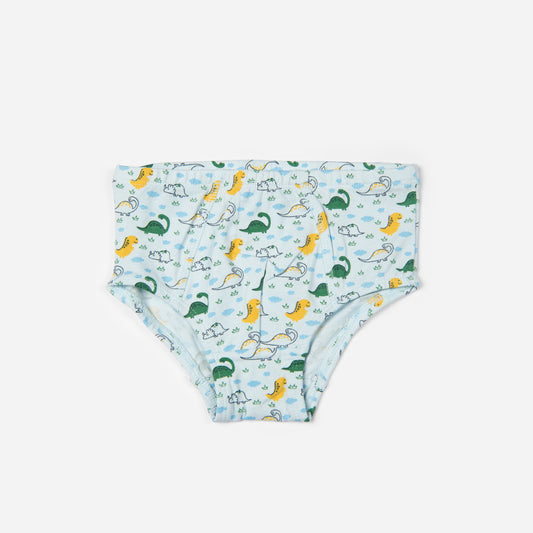 Organic Cotton Boys Brief - Dinosaurs