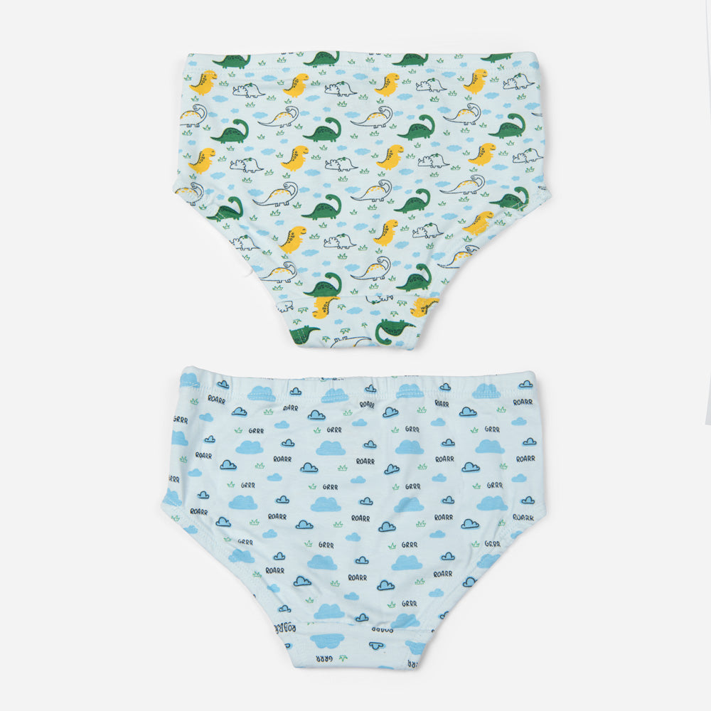 Organic Cotton Boys Briefs - Dino Combo Set of 2