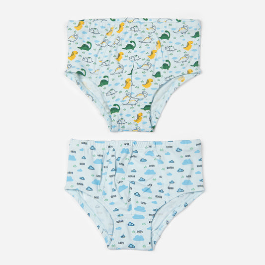 Organic Cotton Boys Briefs - Dino Combo Set of 2