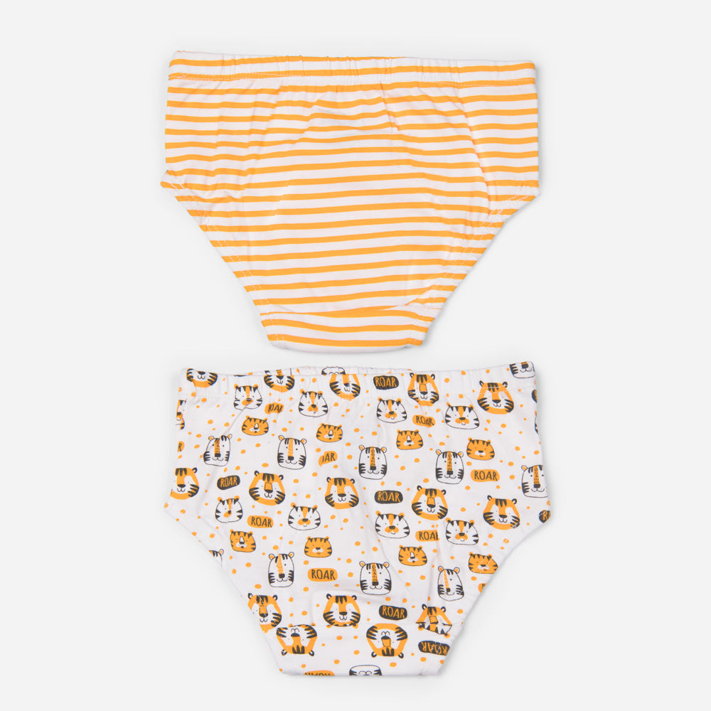 Organic Cotton Boys Briefs - Tiger Combo Set of 2