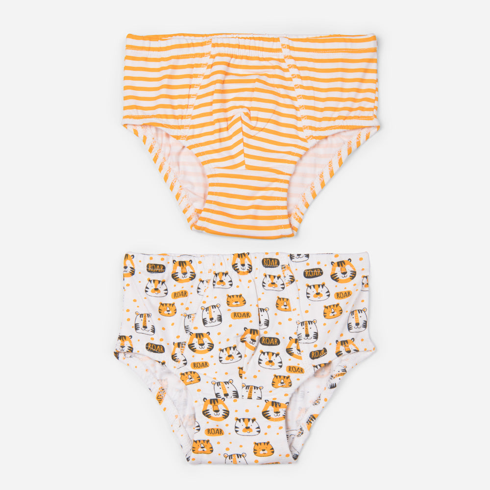 Organic Cotton Boys Briefs - Tiger Combo Set of 2