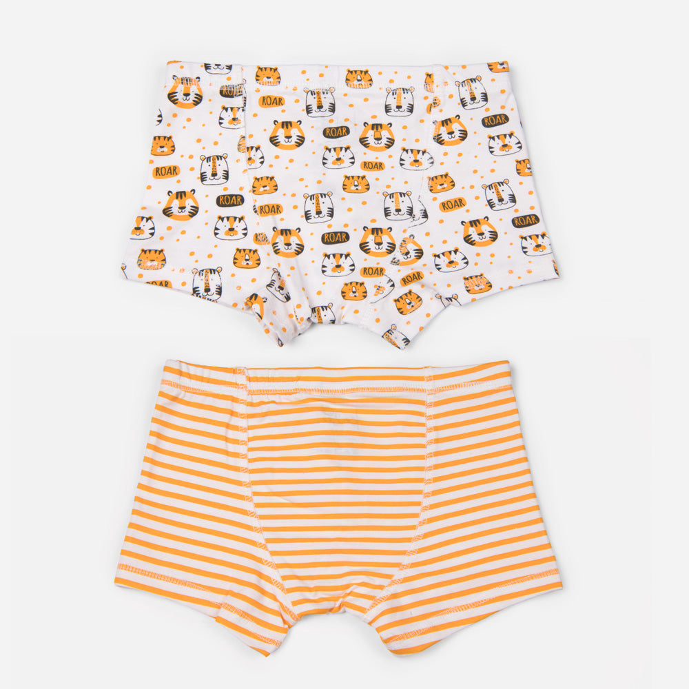 Organic Cotton Boys Boxer Briefs - Tiger Combo Set of 2